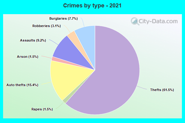 Crimes by type - 2021