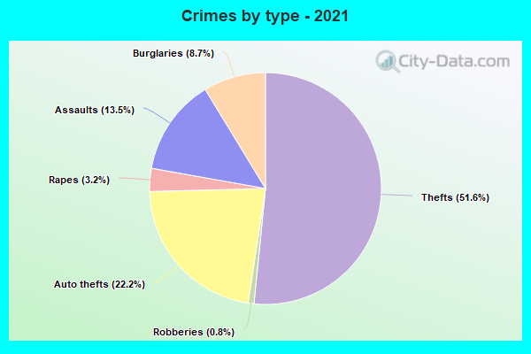 Crimes by type - 2021