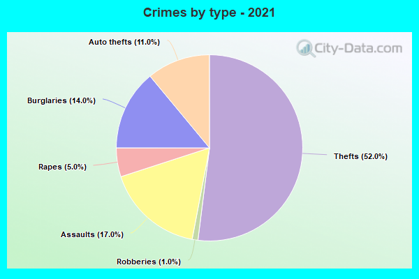 Crimes by type - 2021