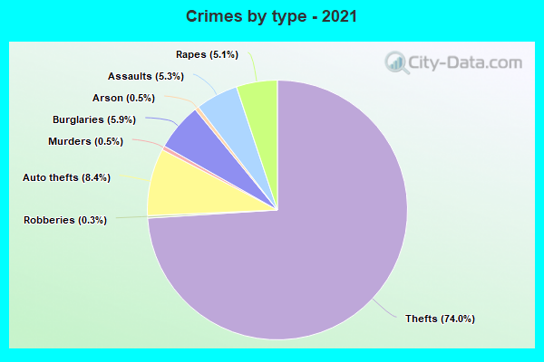 Crimes by type - 2021