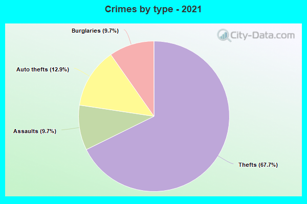 Crimes by type - 2021