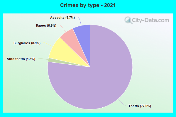 Crimes by type - 2021