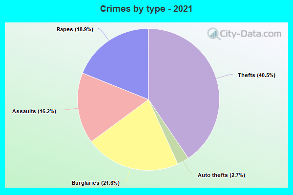 Crimes by type - 2021