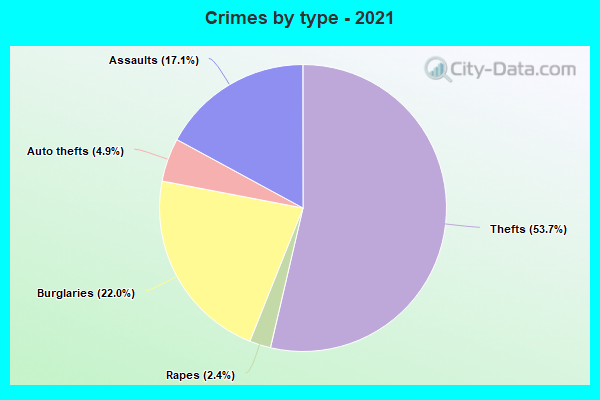 Crimes by type - 2021