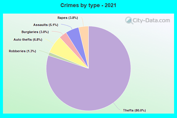 Crimes by type - 2021