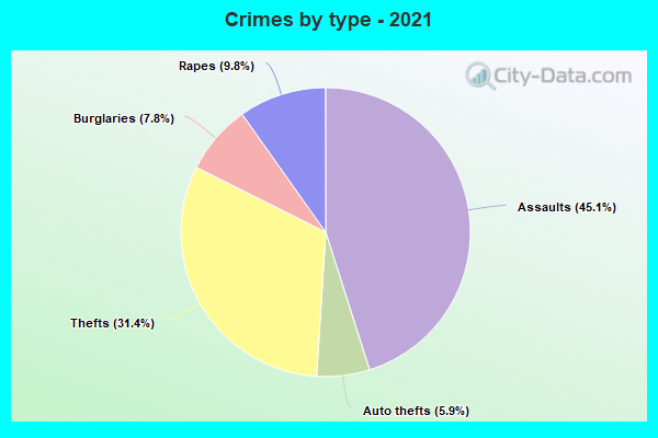 Crimes by type - 2021