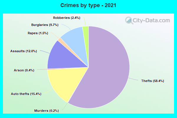 Crimes by type - 2021