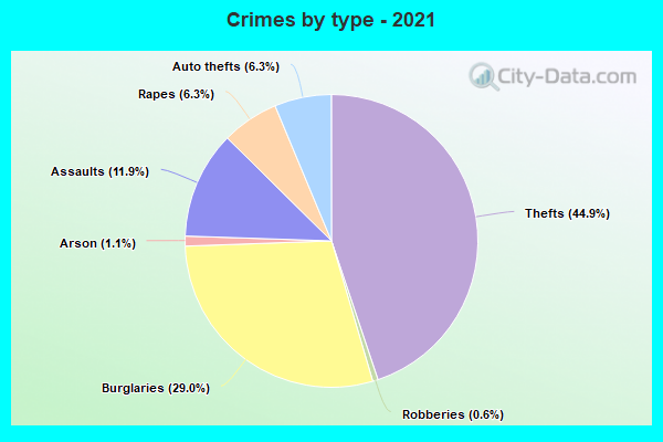 Crimes by type - 2021