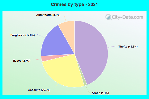 Crimes by type - 2021