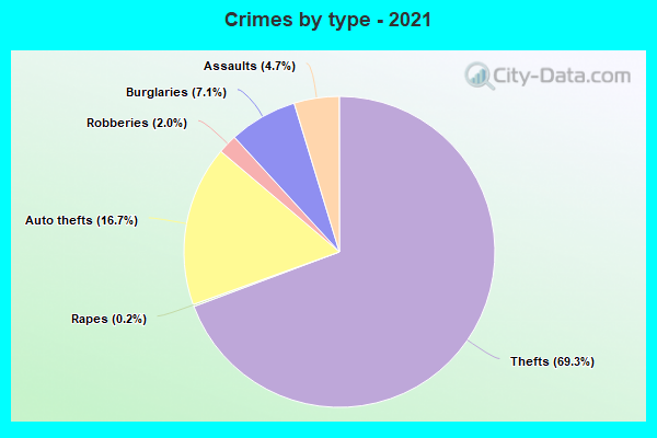 Crimes by type - 2021