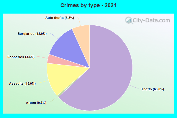 Crimes by type - 2021