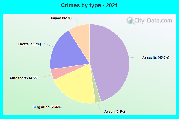 Crimes by type - 2021