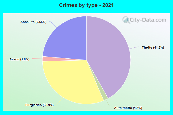 Crimes by type - 2021