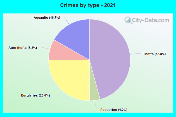 Crimes by type - 2021