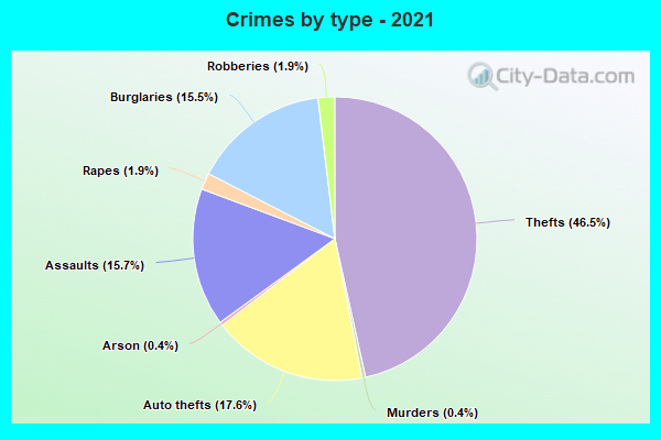 Crimes by type - 2021