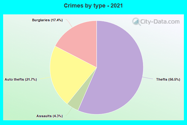 Crimes by type - 2021