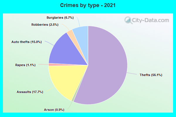 Crimes by type - 2021