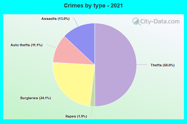 Crimes by type - 2021