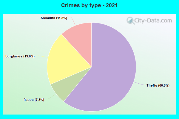 Crimes by type - 2021