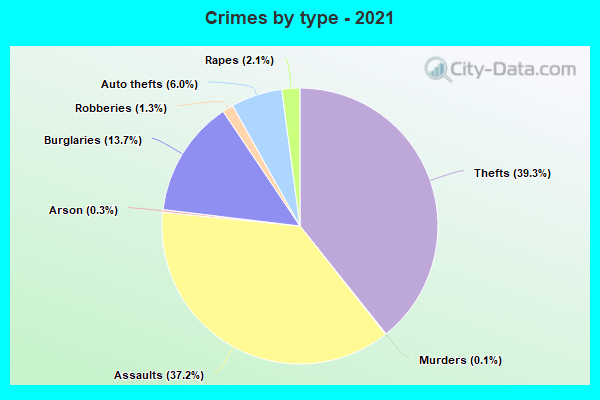 Crimes by type - 2021