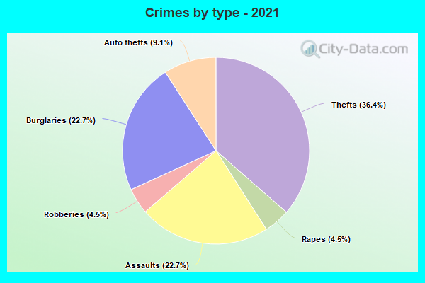 Crimes by type - 2021