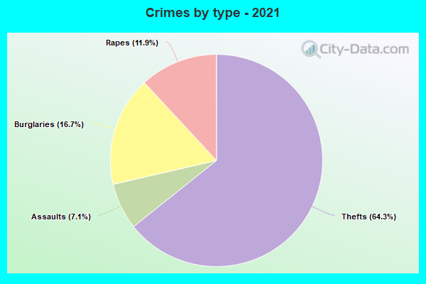 Crimes by type - 2021