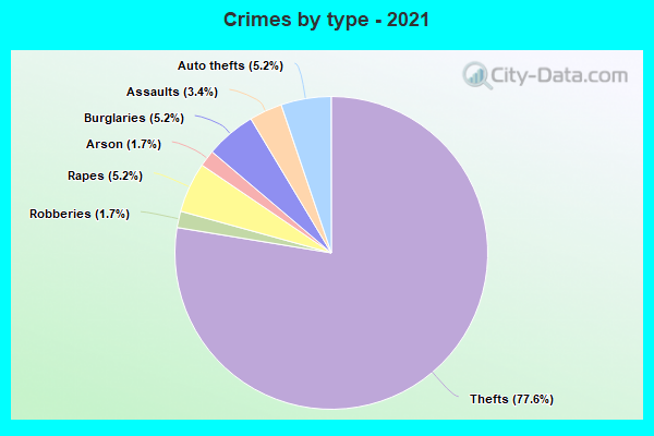 Crimes by type - 2021