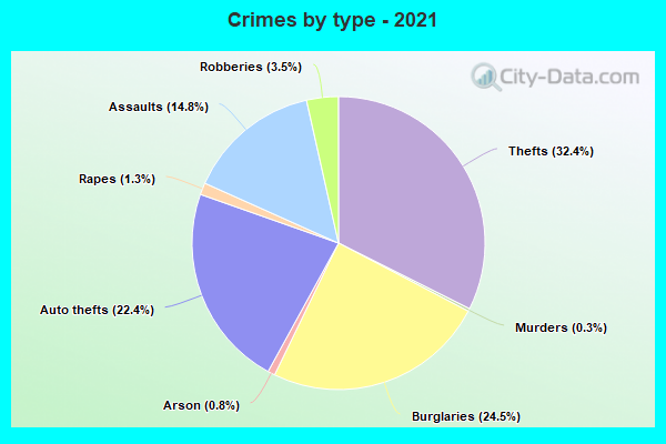 Crimes by type - 2021