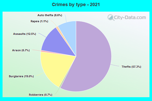 Crimes by type - 2021