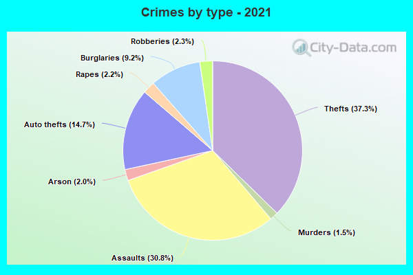 Crimes by type - 2021