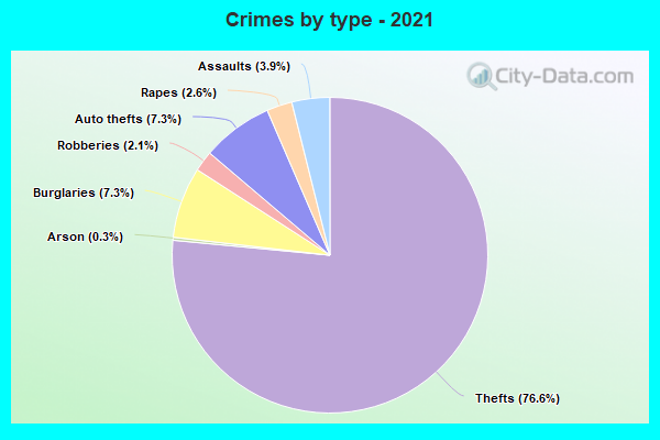 Crimes by type - 2021