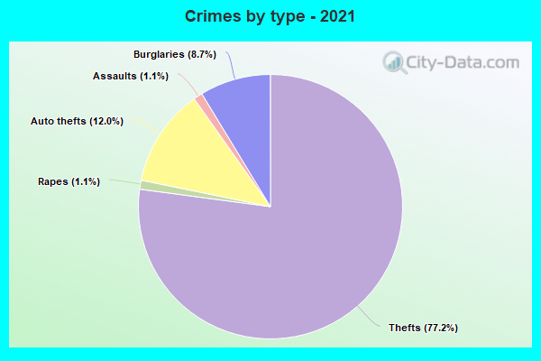 Crimes by type - 2021