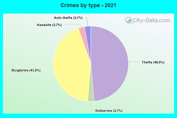 Crimes by type - 2021