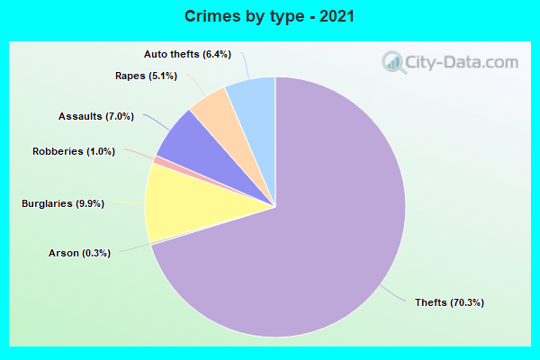 Crimes by type - 2021