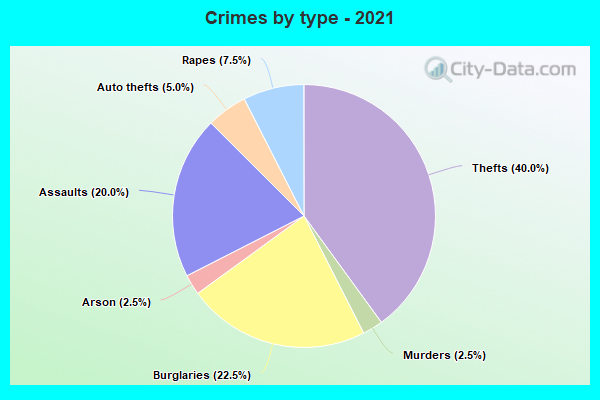 Crimes by type - 2021