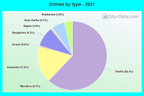 Crimes by type - 2021