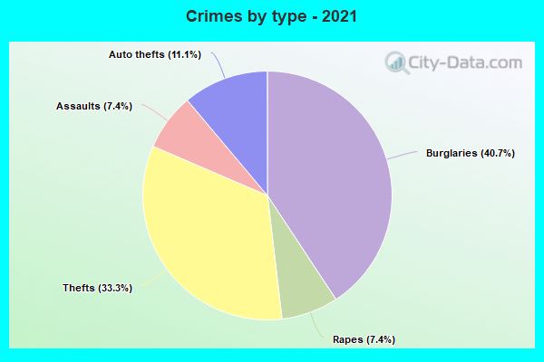 Crimes by type - 2021