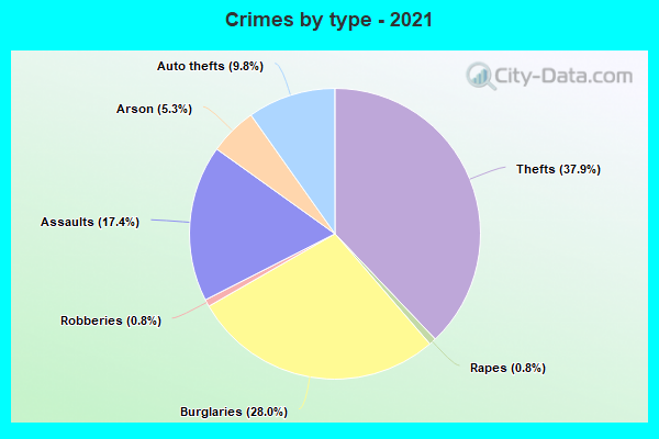 Crimes by type - 2021