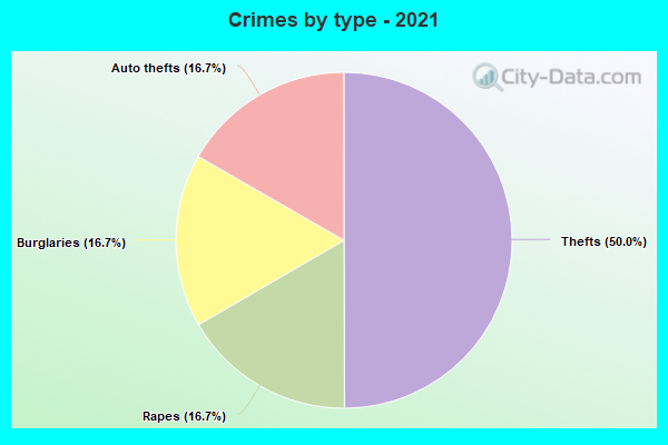 Crimes by type - 2021