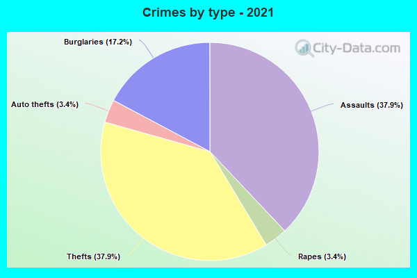 Crimes by type - 2021