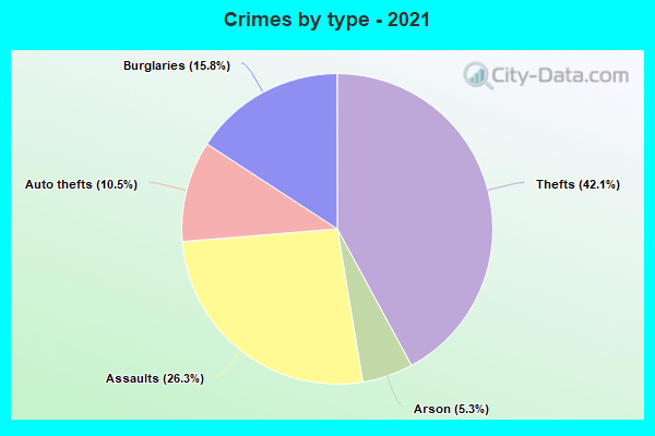 Crimes by type - 2021