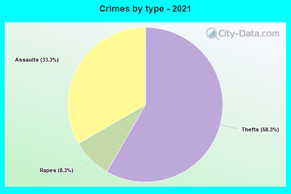 Crimes by type - 2021