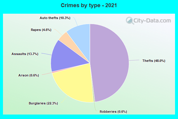 Crimes by type - 2021