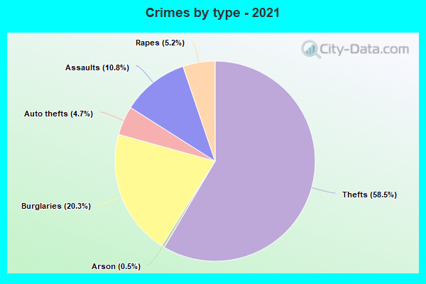 Crimes by type - 2021