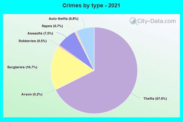 Crimes by type - 2021