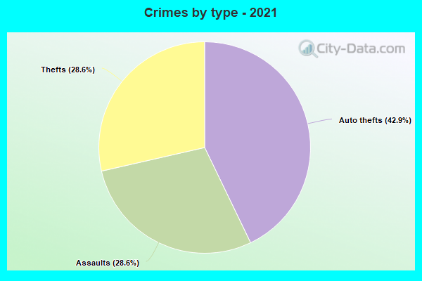 Crimes by type - 2021