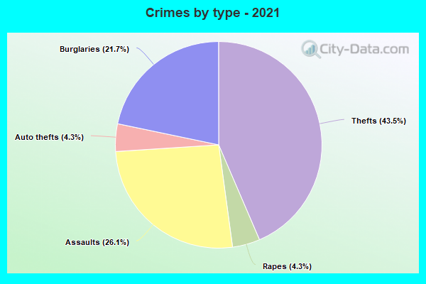 Crimes by type - 2021