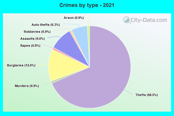 Crimes by type - 2021