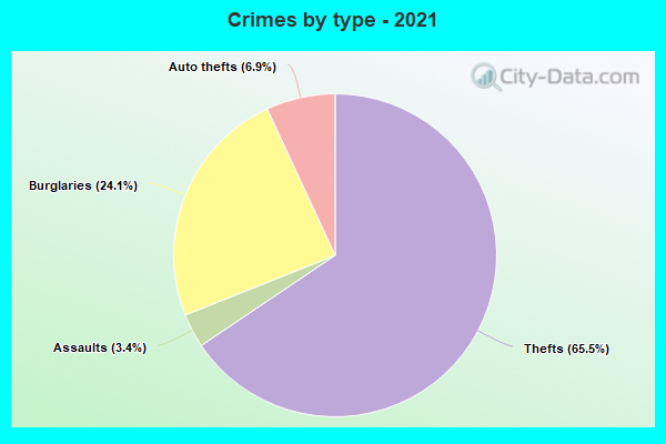 Crimes by type - 2021