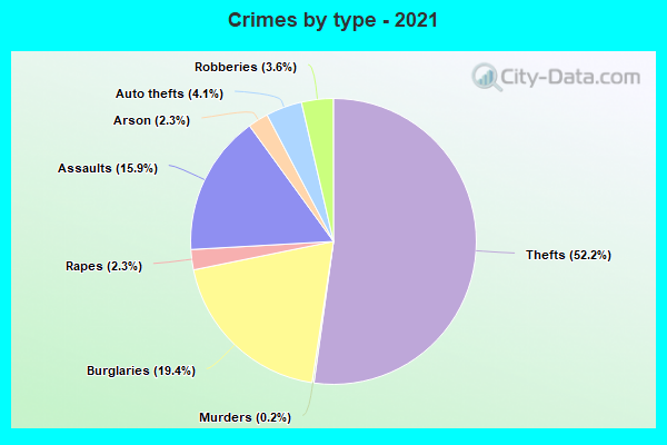 Crimes by type - 2021